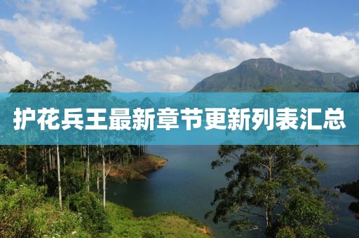 护花兵王最新章节更新列表汇总
