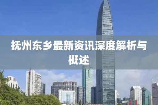 抚州东乡最新资讯深度解析与概述