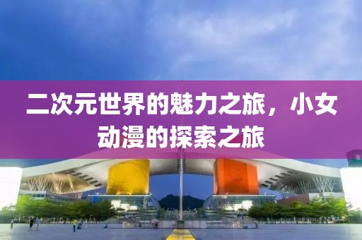 二次元世界的魅力之旅，小女动漫的探索之旅