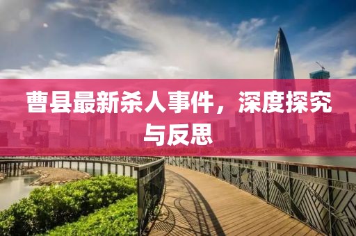 曹县最新杀人事件，深度探究与反思