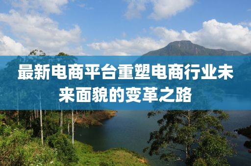 最新电商平台重塑电商行业未来面貌的变革之路