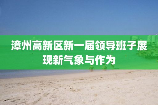 漳州高新区新一届领导班子展现新气象与作为