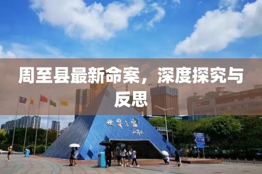 周至县最新命案，深度探究与反思