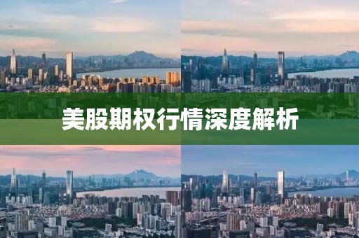 美股期权行情深度解析