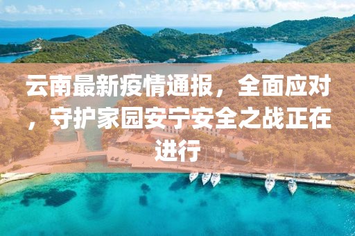 云南最新疫情通报，全面应对，守护家园安宁安全之战正在进行