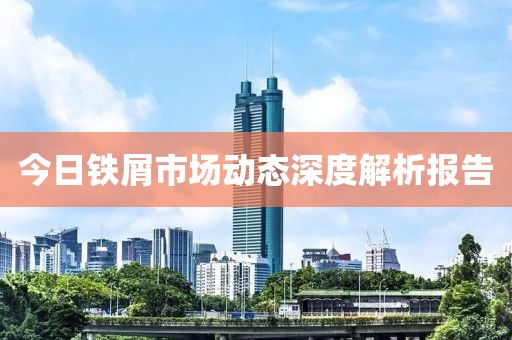 今日铁屑市场动态深度解析报告