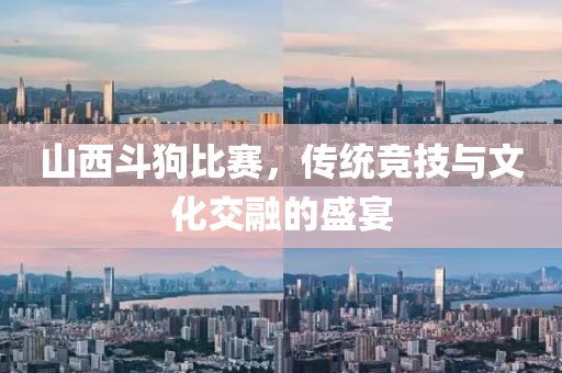 山西斗狗比赛，传统竞技与文化交融的盛宴