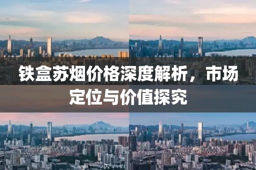 公司概况 第534页