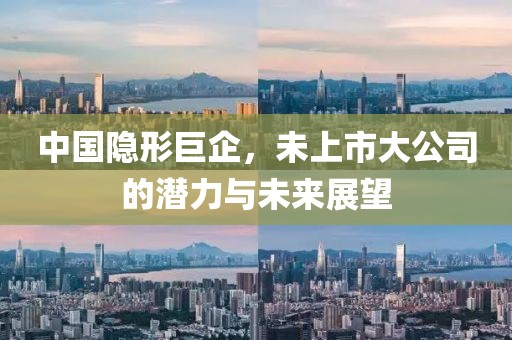 中国隐形巨企，未上市大公司的潜力与未来展望