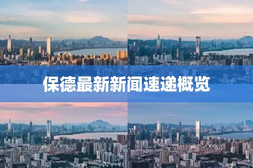 保德最新新闻速递概览