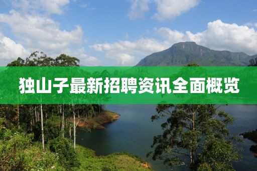 独山子最新招聘资讯全面概览