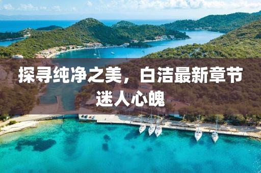 探寻纯净之美，白洁最新章节迷人心魄