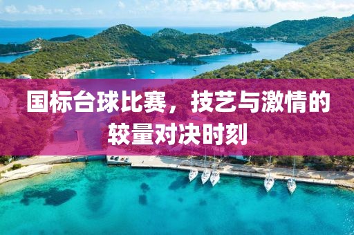 国标台球比赛，技艺与激情的较量对决时刻