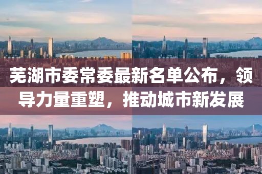 芜湖市委常委最新名单公布，领导力量重塑，推动城市新发展
