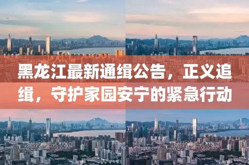 黑龙江最新通缉公告，正义追缉，守护家园安宁的紧急行动
