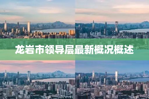 龙岩市领导层最新概况概述