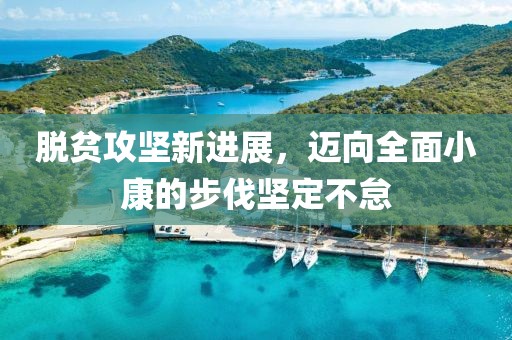 脱贫攻坚新进展，迈向全面小康的步伐坚定不怠
