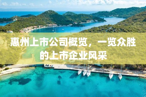 惠州上市公司概览，一览众胜的上市企业风采