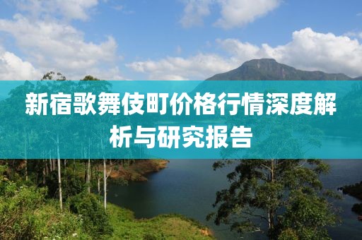 新宿歌舞伎町价格行情深度解析与研究报告