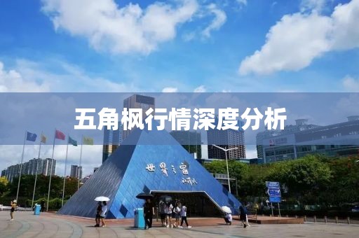 五角枫行情深度分析