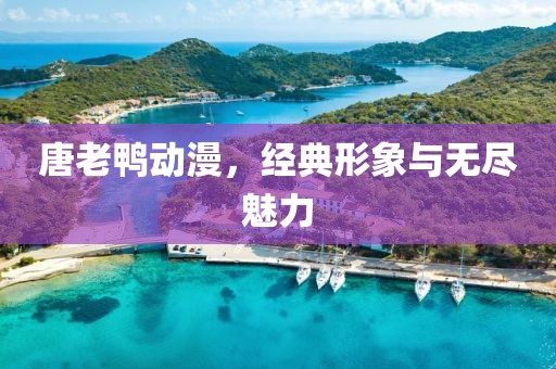 唐老鸭动漫，经典形象与无尽魅力