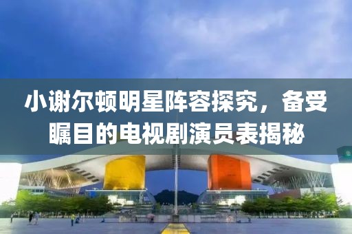 小谢尔顿明星阵容探究，备受瞩目的电视剧演员表揭秘