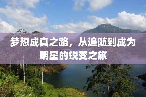 梦想成真之路，从追随到成为明星的蜕变之旅