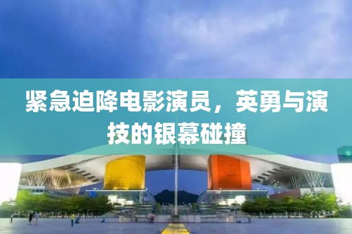 紧急迫降电影演员，英勇与演技的银幕碰撞