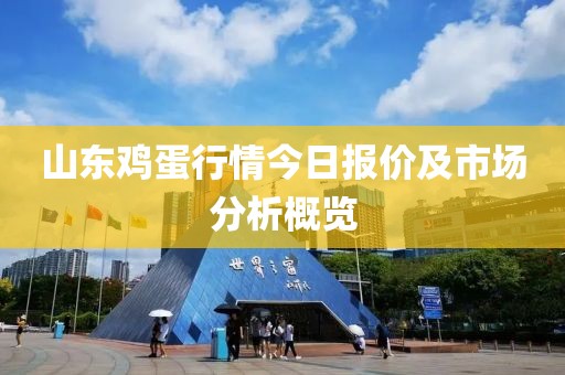 山东鸡蛋行情今日报价及市场分析概览
