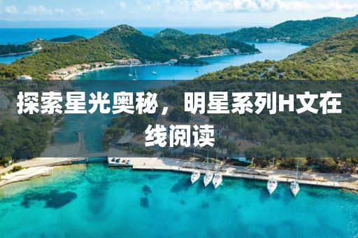 探索星光奥秘，明星系列H文在线阅读