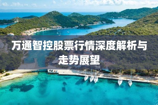 万通智控股票行情深度解析与走势展望