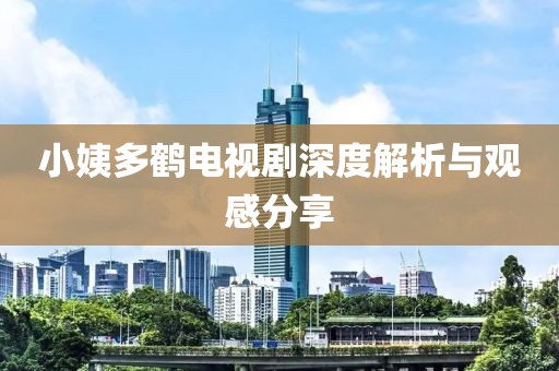 小姨多鹤电视剧深度解析与观感分享
