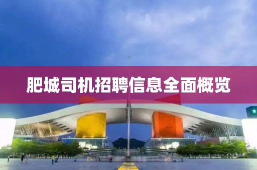 肥城司机招聘信息全面概览