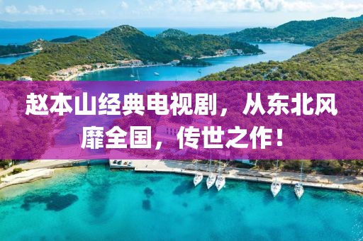 赵本山经典电视剧，从东北风靡全国，传世之作！