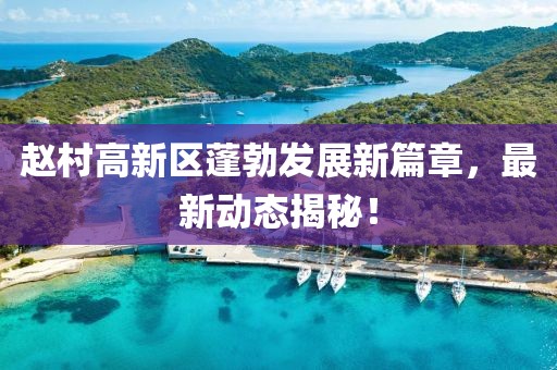 赵村高新区蓬勃发展新篇章，最新动态揭秘！