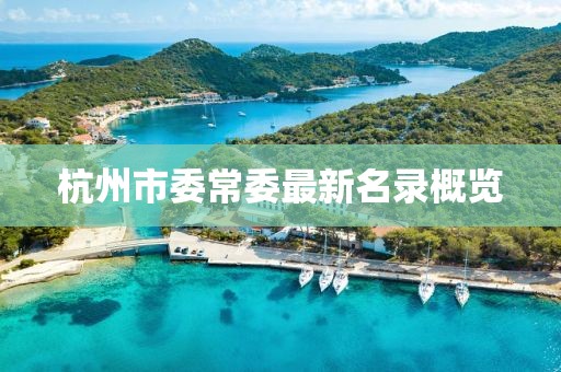 杭州市委常委最新名录概览