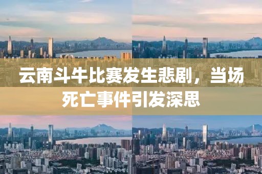 云南斗牛比赛发生悲剧，当场死亡事件引发深思