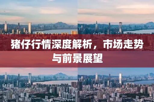 猪仔行情深度解析，市场走势与前景展望