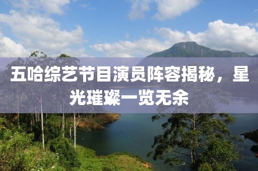 五哈综艺节目演员阵容揭秘，星光璀璨一览无余