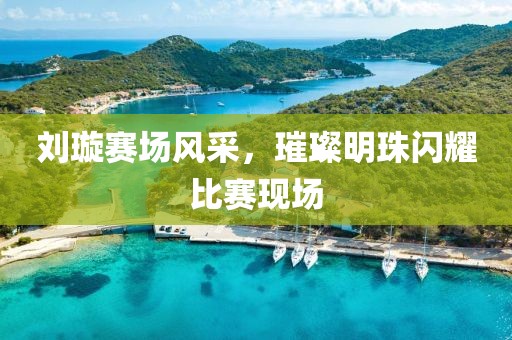 刘璇赛场风采，璀璨明珠闪耀比赛现场