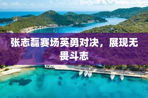 张志磊赛场英勇对决，展现无畏斗志