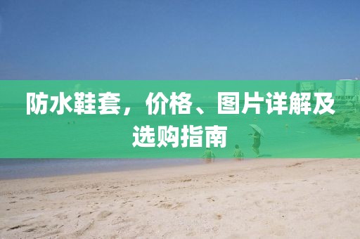 防水鞋套，价格、图片详解及选购指南