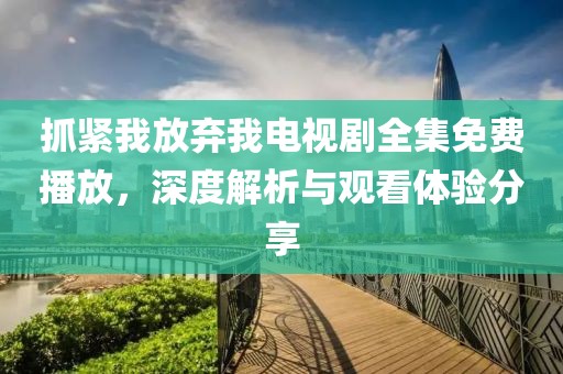 抓紧我放弃我电视剧全集免费播放，深度解析与观看体验分享