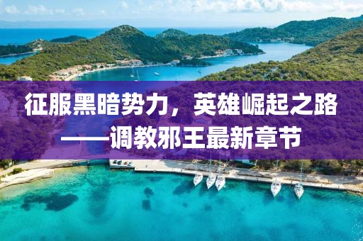 征服黑暗势力，英雄崛起之路——调教邪王最新章节