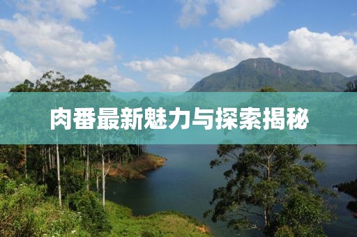 肉番最新魅力与探索揭秘