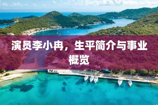 演员李小冉，生平简介与事业概览
