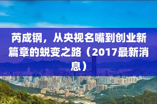 芮成钢，从央视名嘴到创业新篇章的蜕变之路（2017最新消息）