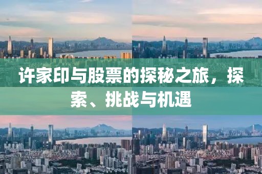 许家印与股票的探秘之旅，探索、挑战与机遇