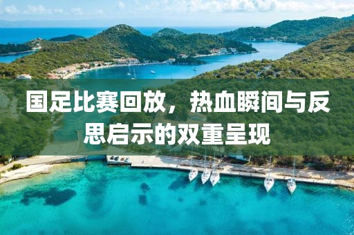 国足比赛回放，热血瞬间与反思启示的双重呈现