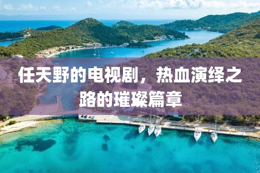 任天野的电视剧，热血演绎之路的璀璨篇章